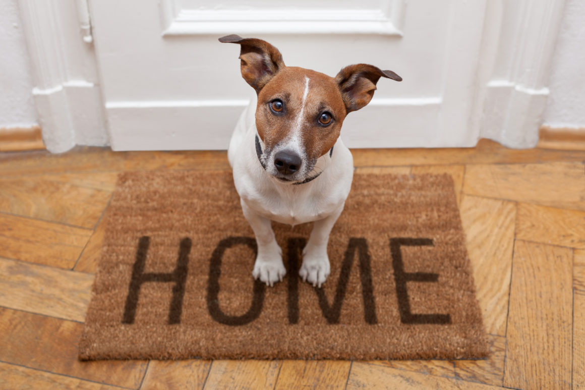 Home Insurance